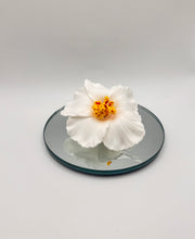 Cargar imagen en el visor de la galería, Amapola hair clip
